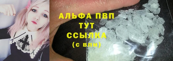 амф Аркадак