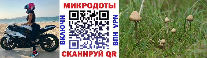 купить наркоту Свирск Псилоцибиновые грибы прущие грибы